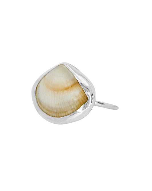 Shell-inspired resin ring size Q