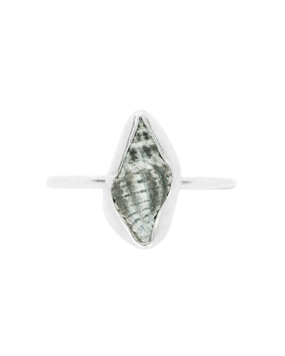 Minimalist Conch Shell Ring in Size Q