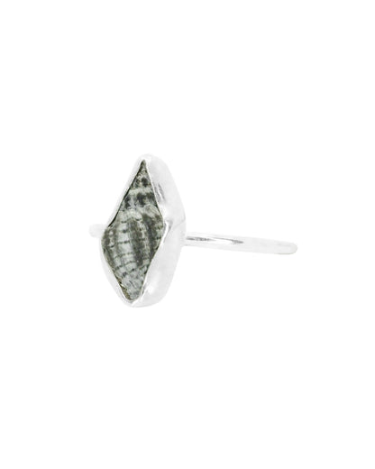 Conch shell-inspired resin ring size Q