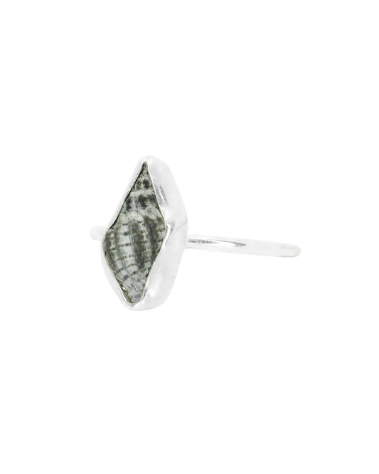 Conch shell-inspired resin ring size Q