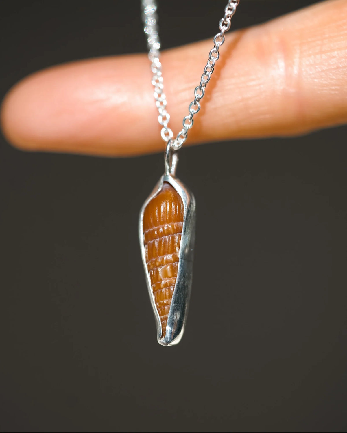 Minimalist natural shell necklace with gold-tone chain