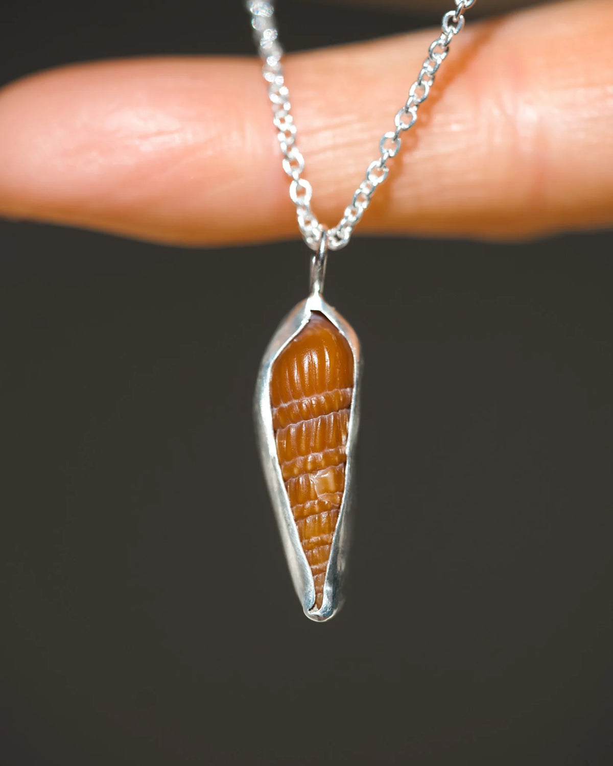Minimalist natural shell necklace with gold-tone chain