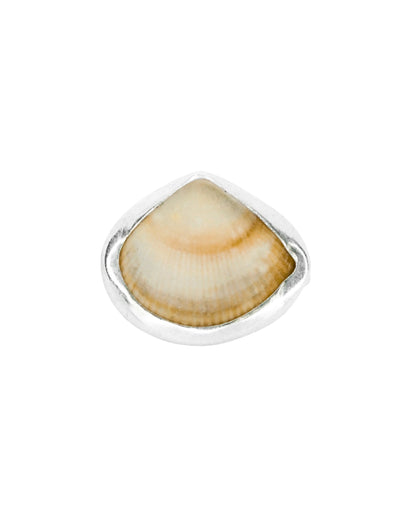 Minimalist shell ring with natural texture in size Q
