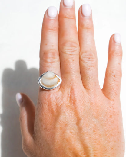 Shell-inspired resin ring size Q