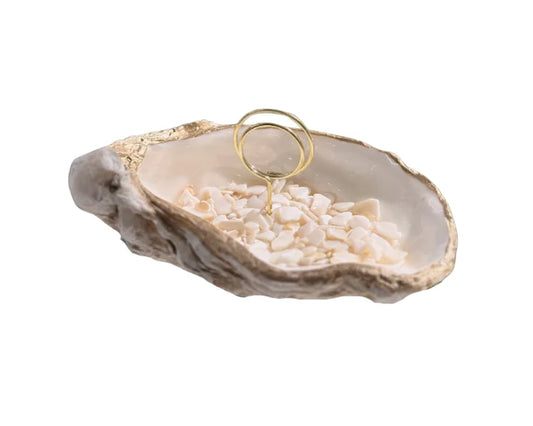 Seashell picture holder